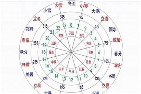 怎麼看八字重不重|你的八字重嗎？「八字重量」懶人包，用出生年月日＆。